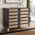 Gisela 2 - Door Shoe Storage Cabinet Dark Gray - Baxton Studio: Freestanding MDF & Plastic, Holds 9 Pairs